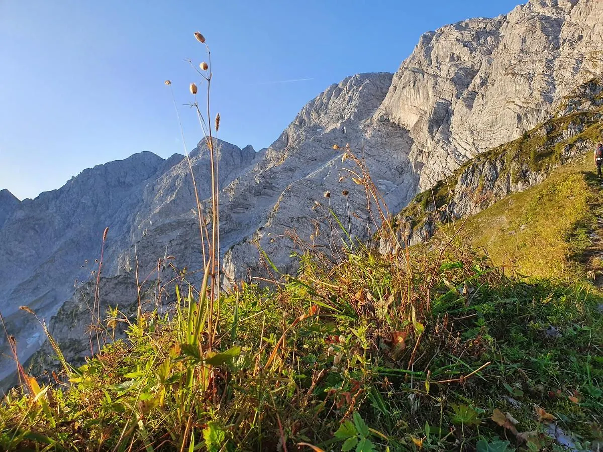 Ferienwohnungen Gaestehaus Laercheck Berchtesgaden